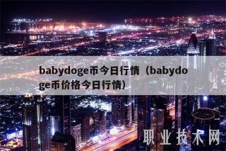 babydog币今日行情（babydog币价格今日行情